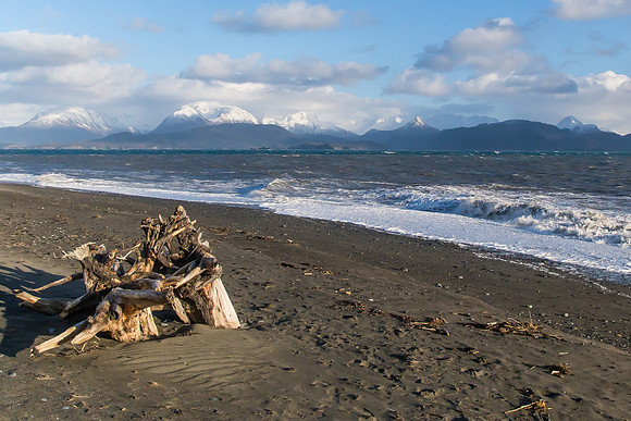 Driftwood on Homer Spit, Homer, AK