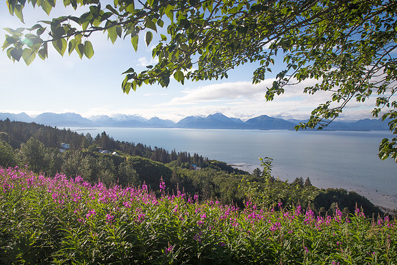 Baycrest View, Homer, AK