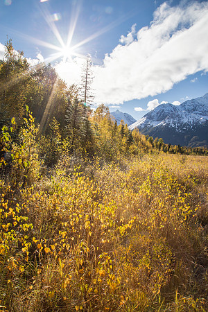 Fall Walk through Eagle River Nature Center, Eagle River, AK