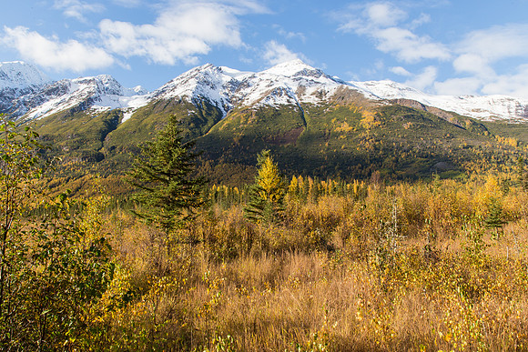 Fall Colors at Eagle River Nature Center, Eagle River, AK