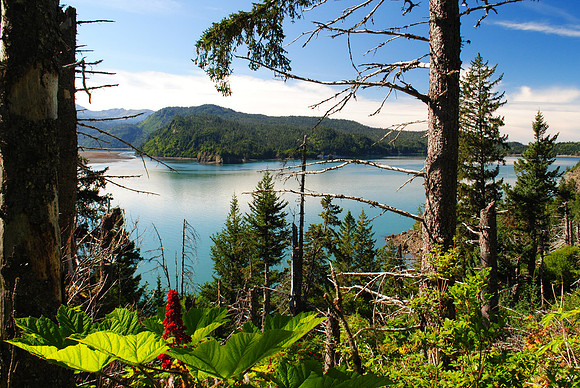 View from Saddle Trail, Kachemak Bay State Park, AK