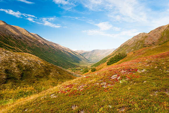 Fall Colors in Hope Valley, Hope, AK