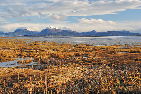 Fall Colors in Kachemak Bay, Homer, AK