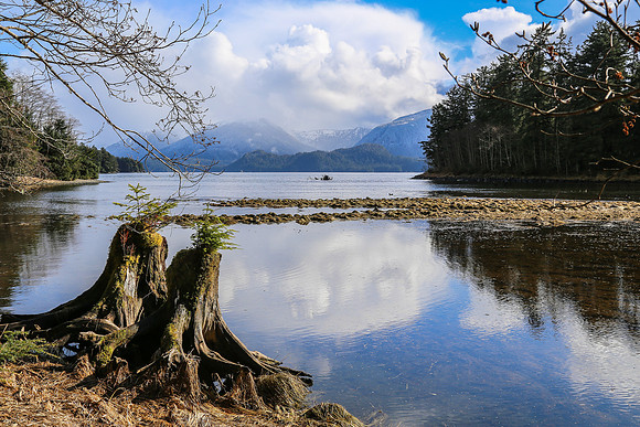 Bay Reflections, Sitka, AK