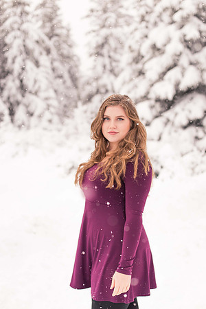 Copyright © Laural A. Sabin