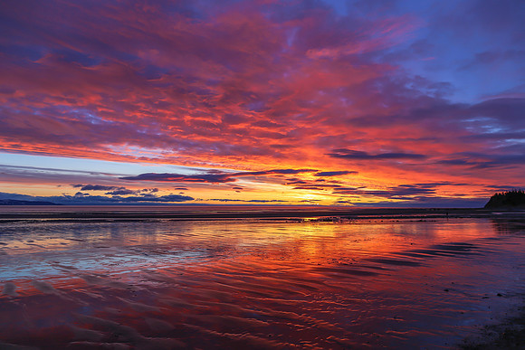 Color Burst Sunset, Homer, AK